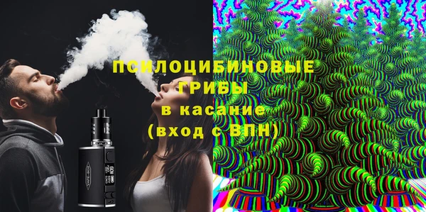 соль ск Арсеньев
