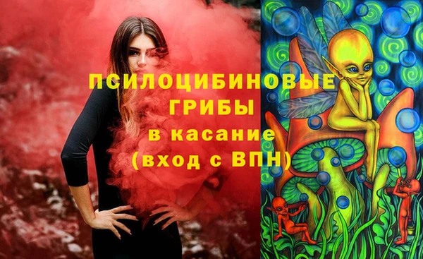 соль ск Арсеньев