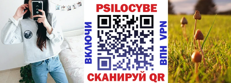 Галлюциногенные грибы ЛСД  Верея 